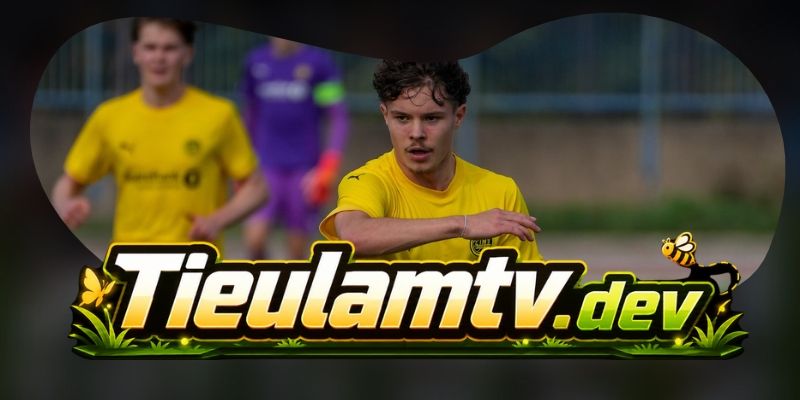 FK Bodo/Glimt kiểm soát chiều rộng, LOSC Lille chờ sai số trong chuyển trạng thái