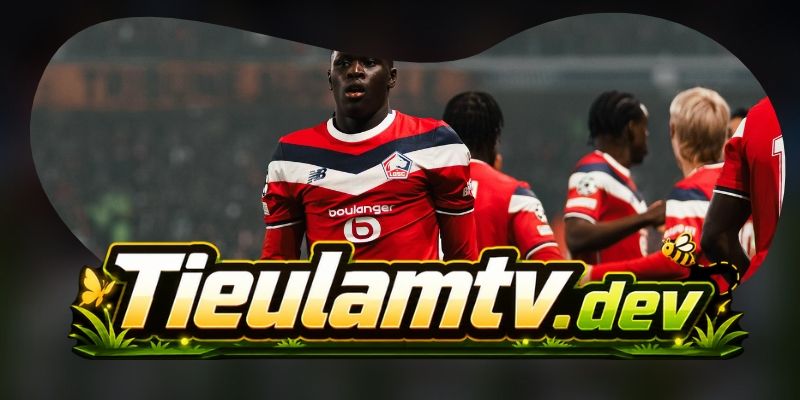 Nhận định kèo FK Bodo/Glimt vs LOSC Lille 03h00 04/11